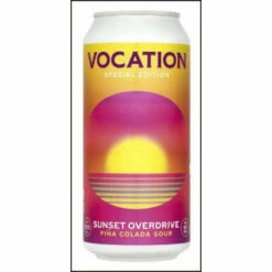 Vocation Sunset Overdrive